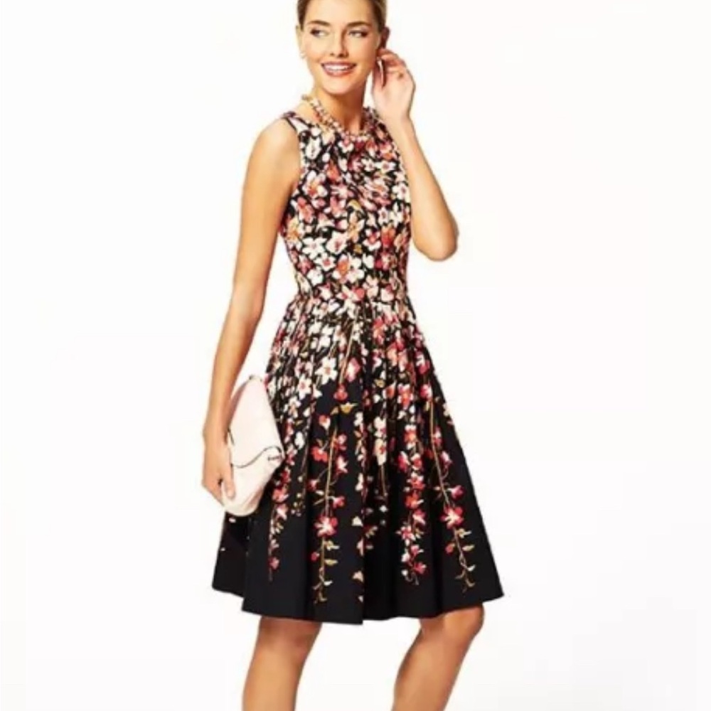 Talbots Floral Black and Pink Dress
